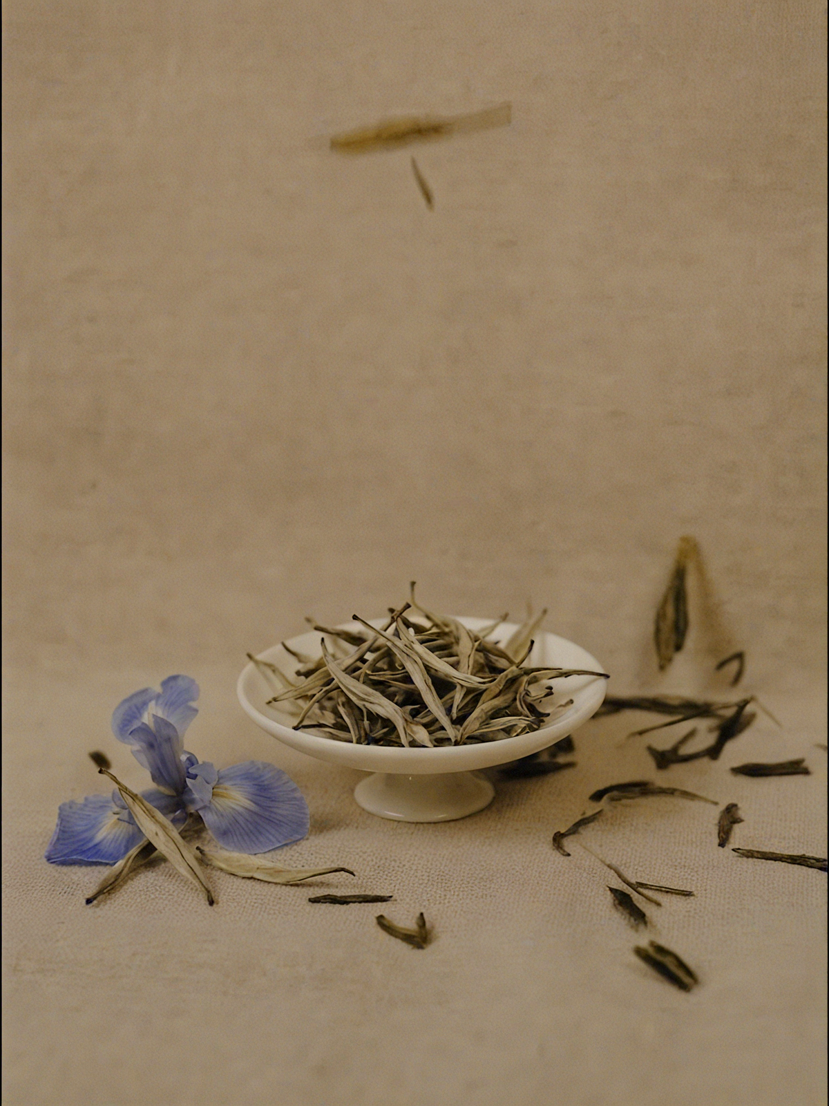 Silver Needle Tea