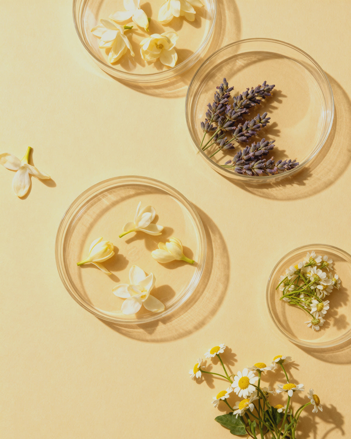 Velvet Bloom - Botanical Reed Diffuser