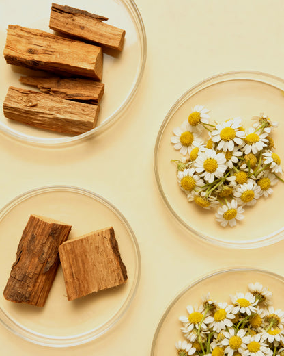 Dream State - Botanical Reed Diffuser