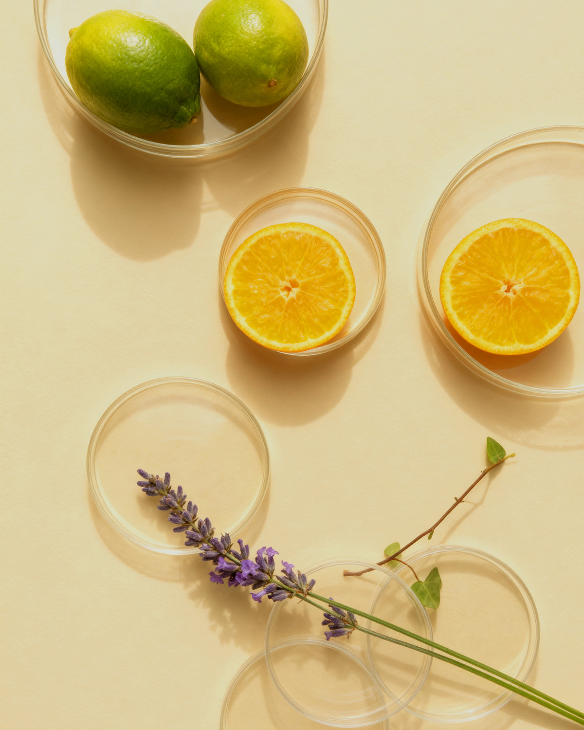 Golden Hour - Botanical Reed Diffuser